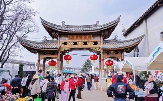 春风化雨，梨花盛开——呈贡区第十三届梨花节启幕