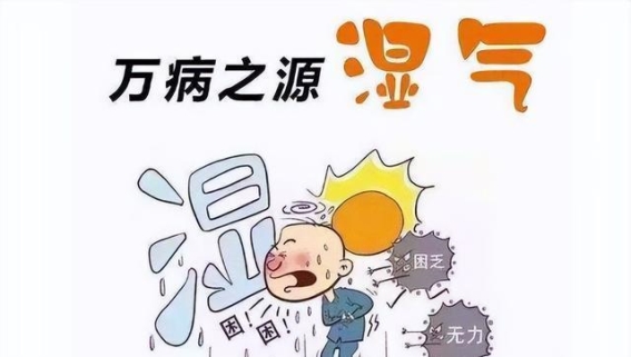 藿香正气丸：一药三效，湿邪困扰统统打破