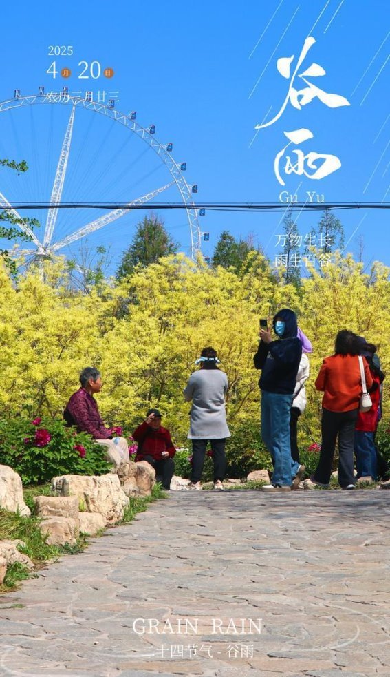 谷雨至，牡丹倾城！聊城邀您赴一场千年之约的国色盛宴