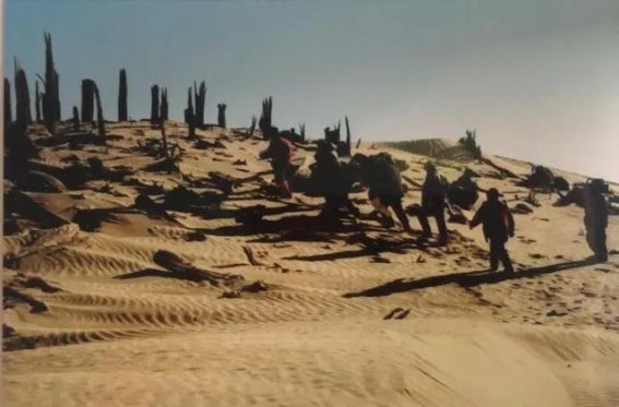 尘封的历史谜题。王炳华和他的团队不仅复原了小河墓地的宏大轮廓，也为后续深入研究提供了重要基础。风沙中的墓地静静诉说着古人的故事，那些木柱、棺板和雕像如同时光信使，将千年前的文明密码传递给今天的探寻者。此次探险是对历史的致敬，也是对未来考古学无限可能的开拓，展现了中国考古工作者在极端环境中坚持科学探究的精神风貌。