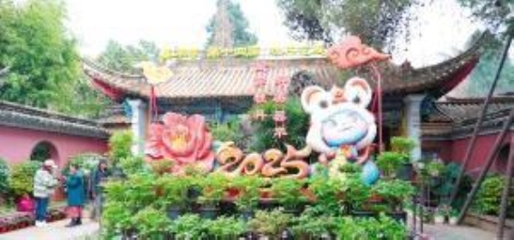 昙华寺公园牡丹花展盛大启幕，春日里的一场文化艺术盛宴