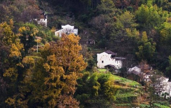 小山村的逆袭：从贫困到繁荣的华丽转身