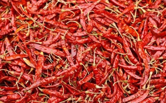 银屑病患者饮食注意事项：五种食物要避开