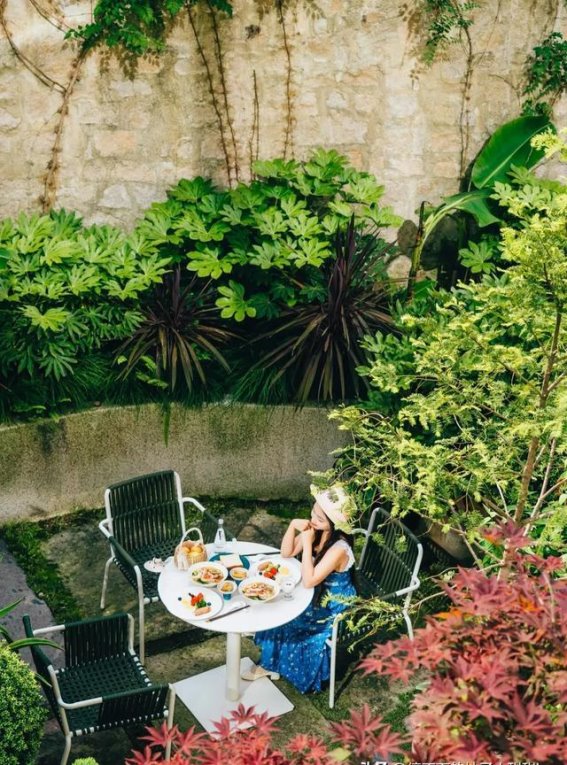 为了这片藏在海边山林里的绿意秘境，我又一次踏上了宁波的旅程