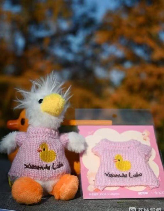 南京玄武湖凤头白鸭走红，文创产品引爆游客热潮