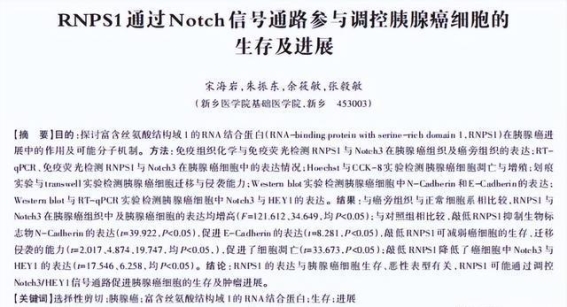 胰腺癌的三大警示信号，若有这些表现可能已经晚期