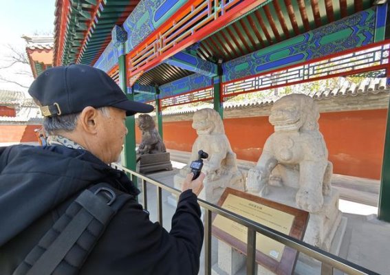 网络引流带火赏花路线 城市副中心文旅直播引百万人围观