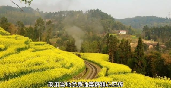 秀山县：历史与文化的交汇之地