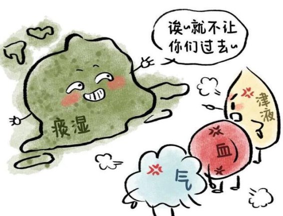 分清补脾与健脾，中医教你如何真正养好脾胃