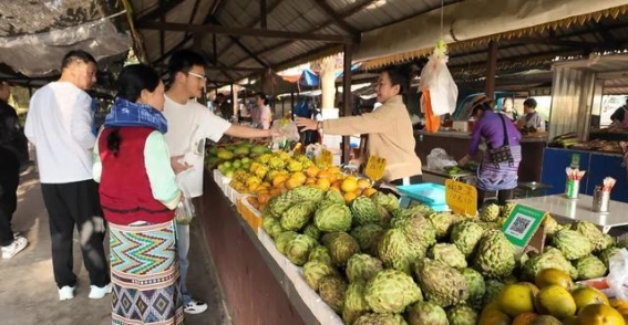 西双版纳的大年：文化与风情的盛宴