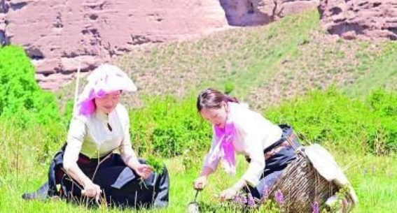 青海坎布拉世界地质公园：探寻地质奇观与文化交织的秘境