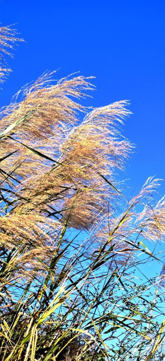 云南风景区天气预报与旅行小贴士