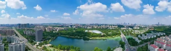 花神湖畔的四季传奇，见证南京的花卉文化