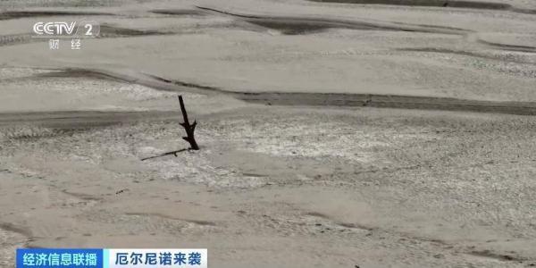 巴西亚马孙河最大支流水位大幅下降 航运和捕鱼业受威胁