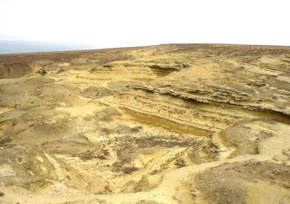 中国的投资冒险：一块17亿美元的荒地，6万亿的宝藏