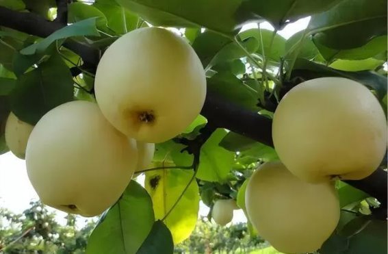 传统禁忌，送礼有道：四物不宜赠送，智慧的表达尊重