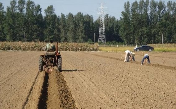 农业未来：探寻农村年轻人流失与土地萧条的深层原因