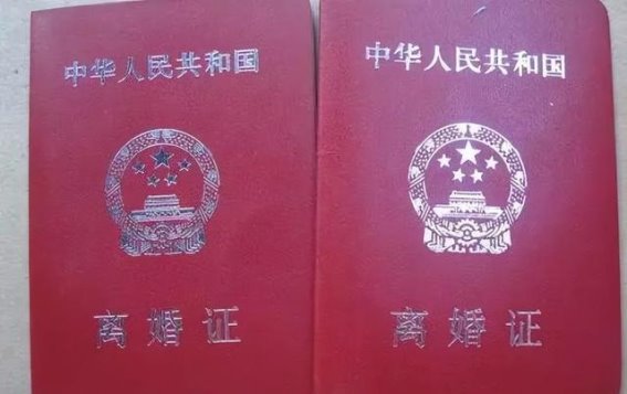 夫妻双双自杀，悲剧背后的法律裁决与反思