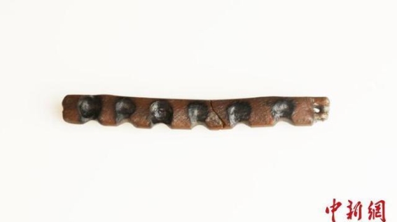 长江以北首次发现滨海湿地型史前遗址——草堰港遗址的考古发现及其学术意义