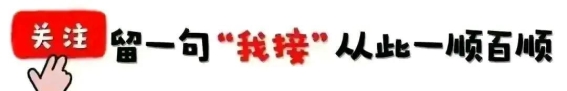 申猴康复的奇迹：传统智慧与健康的融合