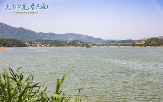 斜溪村的绿色转身：一场从“污染村”到“生态优等生”的深刻嬗变