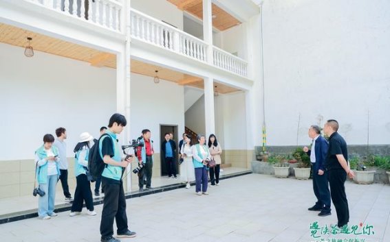 探寻镇巴茶产业的独特魅力，共同谱写陕西茶业新篇章