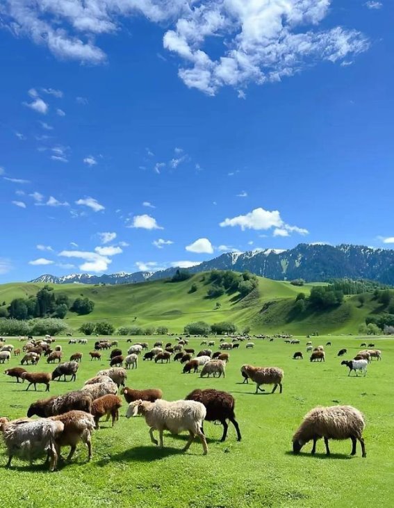 新疆十日游全攻略：超详细行程与旅行体验分享