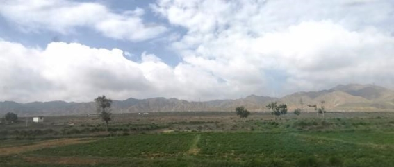 戈壁与绿洲：新疆的记忆