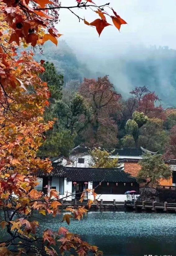 天平山秋行：枫叶与鱼鲜之间的秋韵