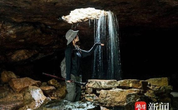 绿意盎然，共绘“绿美江苏”生态旅游新篇章