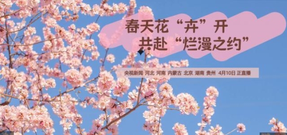 春日花海，畅享四月烂漫时光