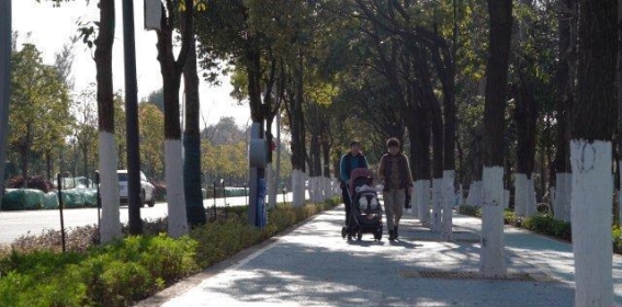 昆明新宝象河滨河绿道：绿意盎然的生态新画卷