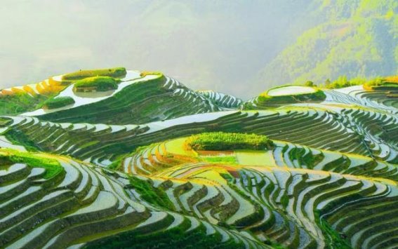 立夏的中国：万物复苏，生机勃发