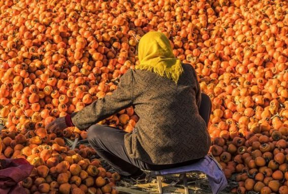 秋分时节的健康调理与反思
