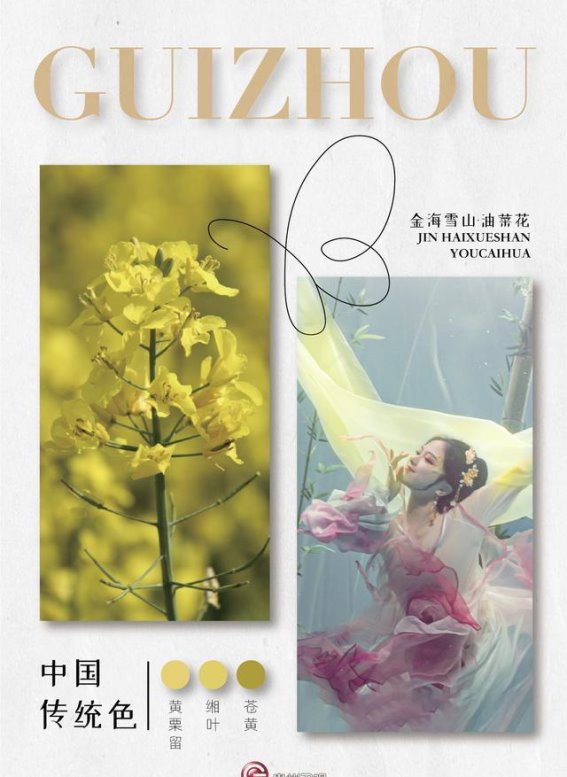 贵州的春天：一场色彩与生命的盛宴