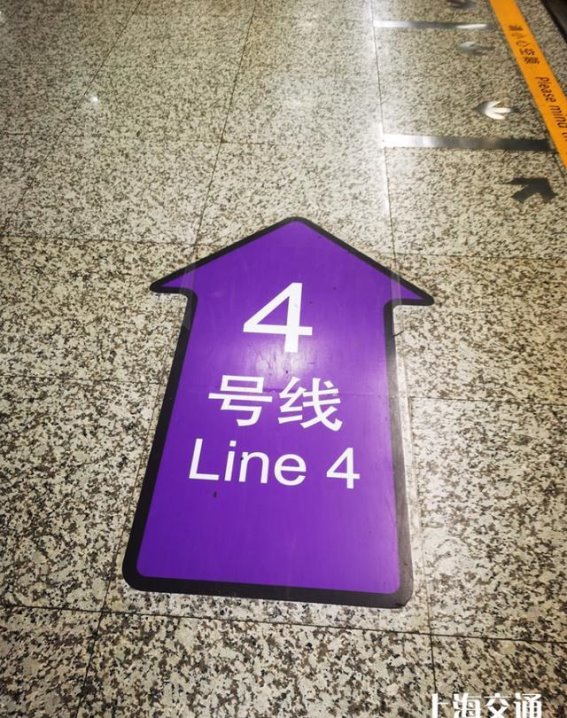 上海的紫色交通：梦幻与现实交织的色彩之旅