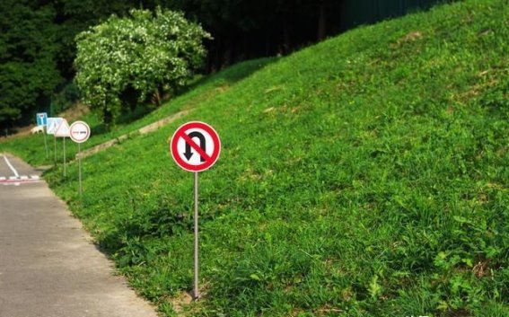 在追求目标的道路上，我们失去了什么？