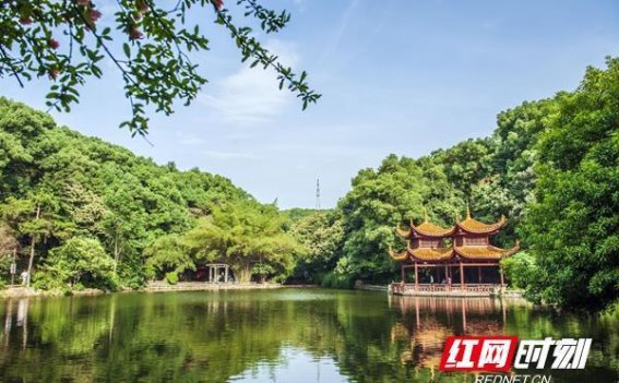 早春踏青，长沙南郊公园的温暖时光