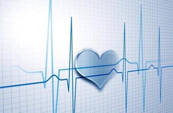 心率与寿命的关系：慢心跳真的长寿吗？
