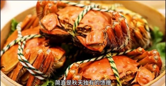 秋天的丰收盛宴：品味自然馈赠的绝美滋味