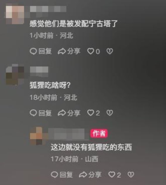 五台山放生狐狸事件引发反思：善意背后的困境