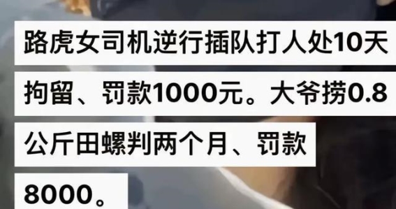 法律公平的悬殊对比：路虎女司机与老大爷的故事