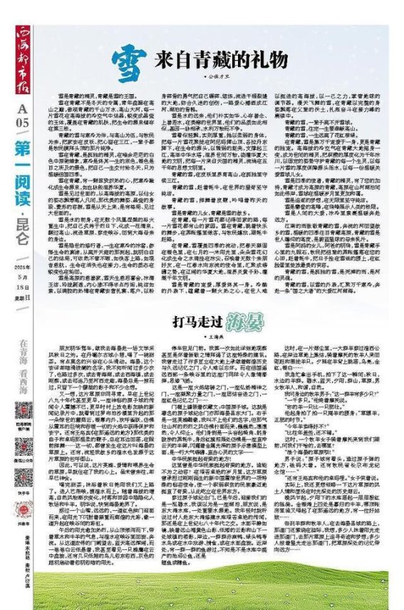 青藏雪魂——天地间最纯净的生命礼赞