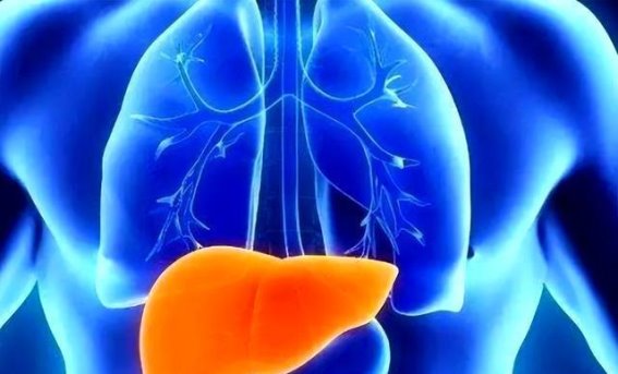 后半夜易醒的四大可能原因，如何调整以改善睡眠质量