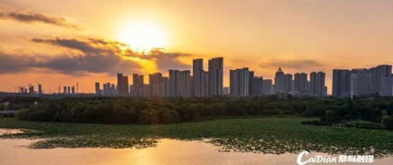 黄金周武汉蔡甸的文化盛宴与奇幻旅程