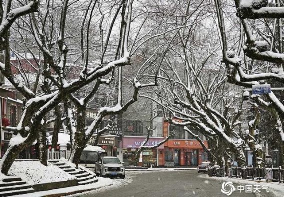 庐山雪景：银装素裹，冬日的诗意与宁静