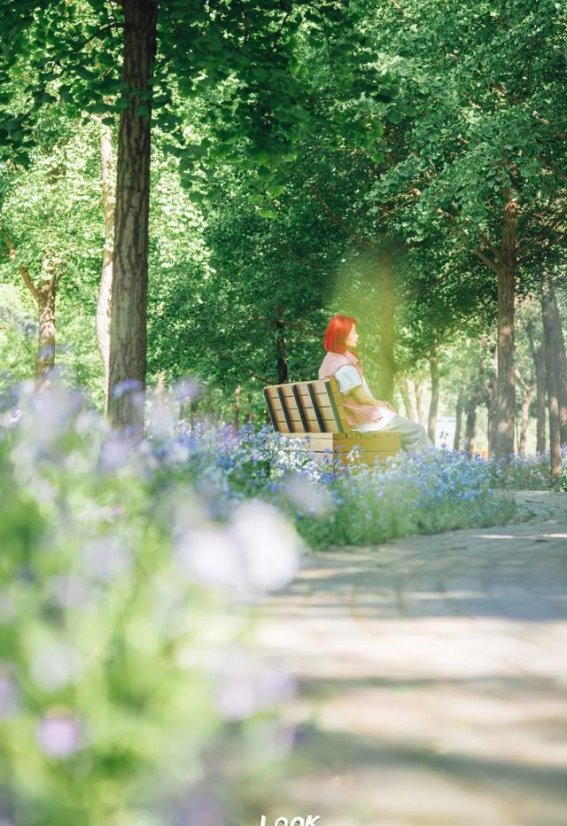 坝河东岸的初夏漫步：一条藏在城市里的“海边”路线