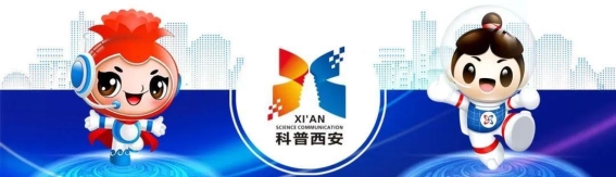 大雪节气养生秘籍：如何顺应自然，度过严寒
