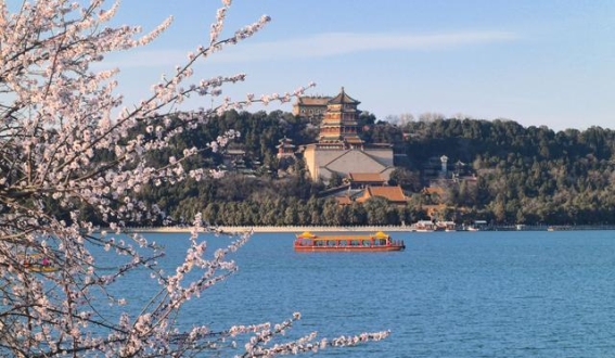 北京市属公园春花盛宴：最佳赏花时间与精选五大观赏地