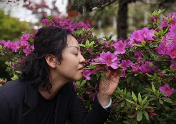 雪峰山的春光：乡村的宁静与山野的魅力